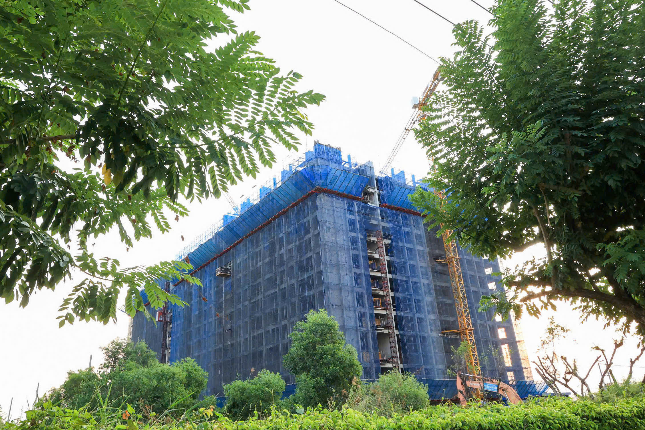Tiến độ 3